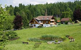 Haus Heidi